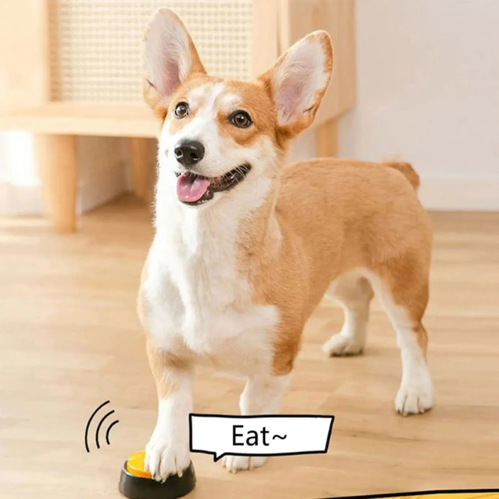 PawHaven™ TalkTrain Dog Communication Button