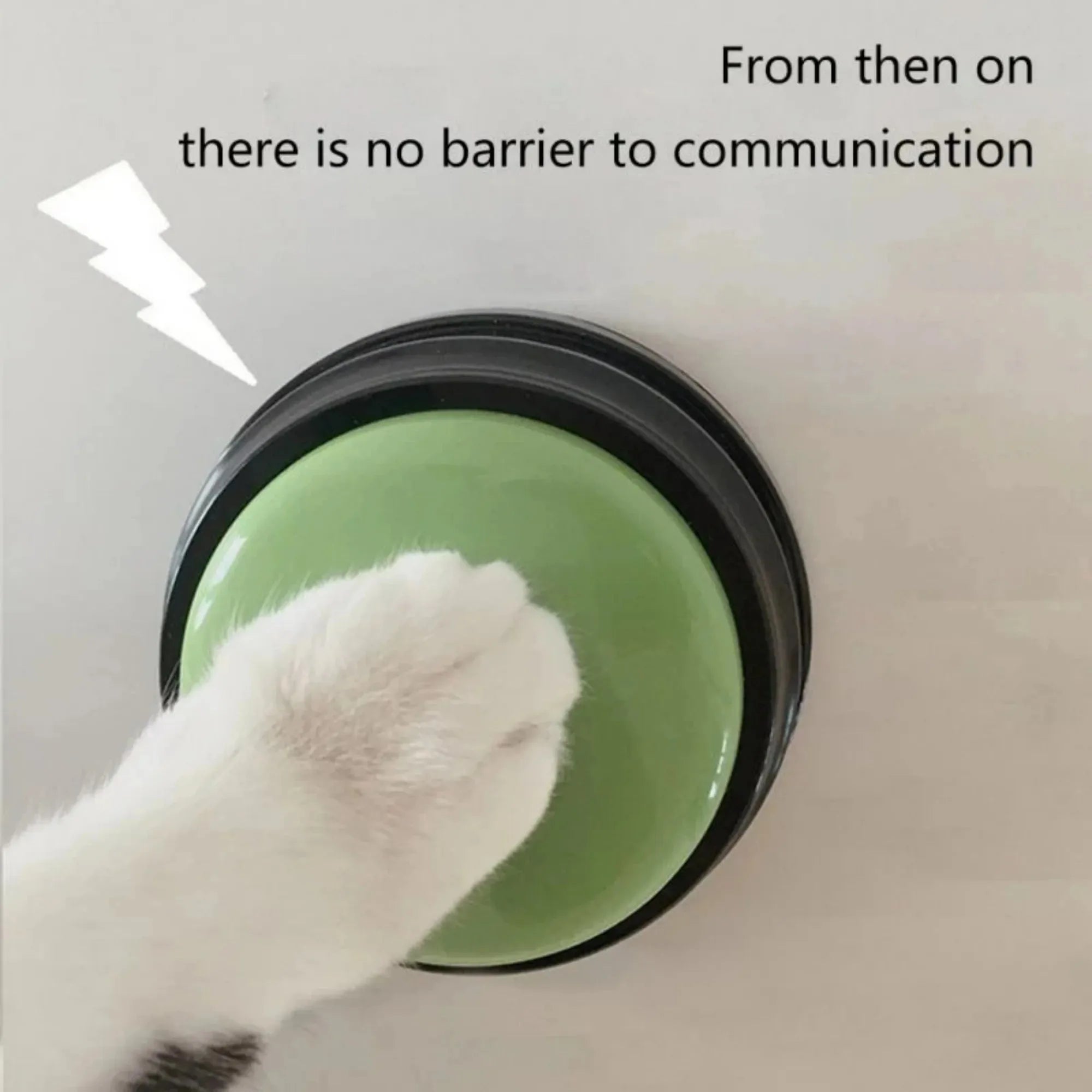 PawHaven™ TalkTrain Dog Communication Button
